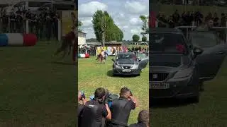 D&eacute;monstration du savoir-faire des &eacute;quipes cynophiles de la gendarmerie !#chien #demonstration