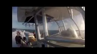 Cat Cay 2012
