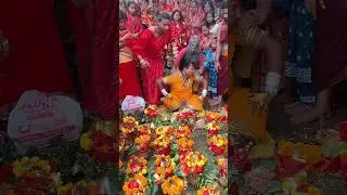 Jai Maa Samaleswari 🚩Samalei maa 🙏 Maa Samaleswari Temple | Sambalpur #shorts #shortvideo #short