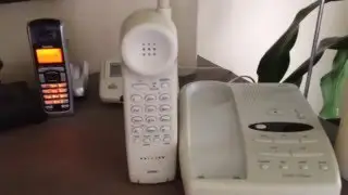 ALL the Telephones in the House Ringing!