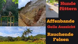 Fahrt in die Berge. Affenbande und Stra&szlig;enhunde f&uuml;ttern. Geile Aussicht. Philippinen vom Feinsten.
