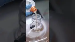Pure Pitch: Unlocking Homebrew Perfection with White Labs Liquid Yeast