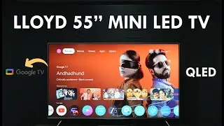 LLOYD 55