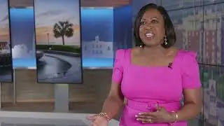 WCSC Anchor Ann McGill Serves Charleston, SC Community