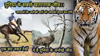 facts about animals in hindi #youtubeshorts #factsinhindi #2025fact #newfactvideo2025