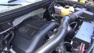 2011 F-150 Ecoboost Stretched Timing Chain Noise
