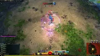 [GW2] Condition Chronomancer Benchmark - 43.2k (32 conf)