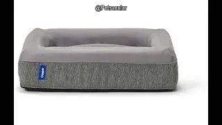 Casper Dog Bed Review: Is This Plush Memory Foam Bed Worth the Investment for Your Pet?