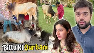 Billu Ki Qurbani 💔 | Poori Family Emotional Ho Gai 😭 | Susral Walon Se Eid Milne Gaye ❤️