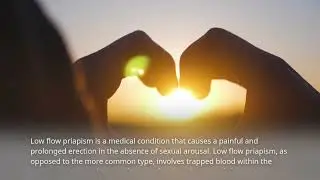 Unmasking Low-Flow Priapism: Symptoms, Diagnostics, Causes & Prevention - [See Video Description]