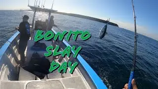 Bonito Fishing in Ensenada (local fishing)
