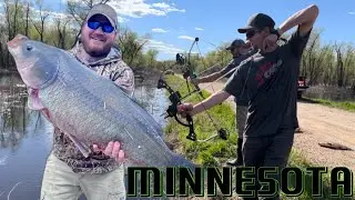 Bowfishing 30 Pound Buffalo Carp in Road ditches (70+ Carp!!)