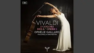 Cello Concerto in G Minor, RV. 416: III. Allegro.