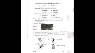 Class 5 |  Christmas Exam Answers Key | HPE,Art and Work Integrated Education | Answer Key