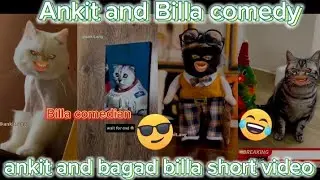 ankit and bagad billa 🤣 😝 phul comedy 😝😂 #bagad #billa #viralvideo #comedy