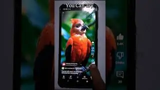 amazing Bird 😱😱,,,,Appliances! New Gadgets,Tools Display Magic #shorts #gadgets