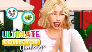 Ultimate Collector Challenge #9 ✨ (on valide deux collections !) | Let's play Sims 4