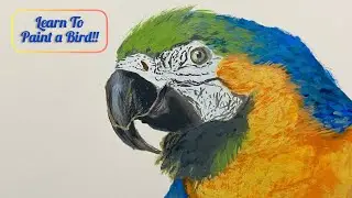 Easy watercolor bird tutorial | How to paint a bird with watercolor