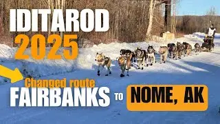Iditarod 2025 Dog Sled Race - Fairbanks to Nome, Alaska!