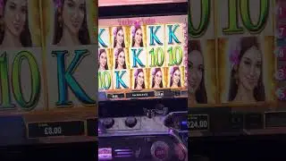 Lucky Lotus nice win ~ &pound;10 catch match at buzz bingo ~ nice win :)