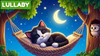 Sleepy Cat Song: The Perfect Nap Time Lullaby for Little Ones!