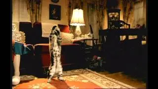 Bacardi Breezer - Goal (2002, UK)