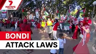 NSW rushes through protest and gun laws after Bondi attack | 7NEWS