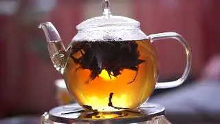 How a flowering tea rises in a tea pot / beautiful