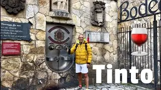 Camino 62 Francés Enero 2026 Parte 6: De Estella a Los Arcos