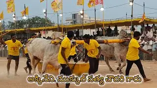 చిలకలూరిపేట సీనియర్స్ 9వ అక్కినేని ముకుల్ సత్య చౌదరి గారు మల్లవల్లి గ్రామం కృష్ణాజిల్లా...