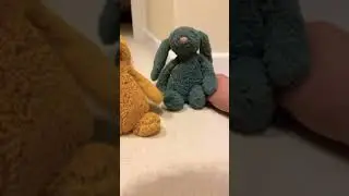 Will you help?! #jellycat#funny#popular