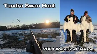 TUNDRA SWAN HUNT - Delaware Waterfowl