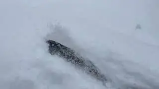 Loose Dry avalanche problem developing during a period of heavy snowfall.