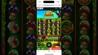 ⁠POPOK GAMING BIG WIN❤️@PopOK_Gaming #bigwin #PopOkGaming