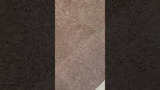 Carpet cleaning in Columbus, Georgia #viralshort