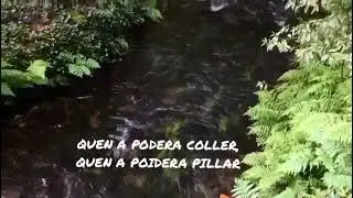 Polo r&iacute;o'abaixo vai...~canci&oacute;n tradicional gallega~