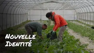 IDENTIT&Eacute; VISUELLE &middot; INSTITUT DE GENECH 🍃
