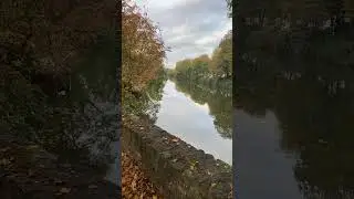 Morning Walk Maidstone Kent UK The Traveller Singh - ਯਾਤਰੀ ਸਿੰਘ is live