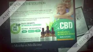 Mothers Medicine CBD - Benefits and Uses of CBD Oil (Plus Side Effects) | WebMD Corp
