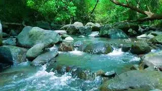 1 Hour River Flowing: Natural White Noise for Focus, Studying, and Working