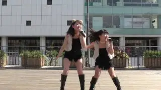 AnimalBeast『旅するカンガルー』20180602@姫路駅北にぎわい交流広場