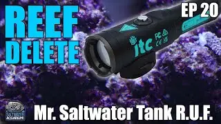 REEF DELETE UV Aiptasia  / Algae Killer - Mr Saltwater Tank - Raw, Uncut, and First Impressions