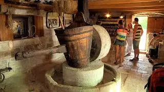 Olive Oil Museum MUZEJ UJA Brač