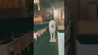 ищу тебя мой золотой спонсор #travel #калининградскаяобласть