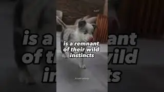 Would you expect that?! They are so smart that ...