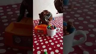 #shorts #shortsfeed #maddog #madfun #asmrtriggers #toys #asmrvideos #satisfying #satisfyingasmr