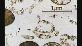 Antibacterial Benefits of Colloidal Silver