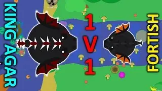 MOPE.IO // KING AGAR VS FORTISH // 1 v 1 // UNCUT GAMEPLAY