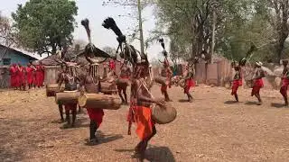 बाइसन-सींग मारिया आदिवासी नृत्य || Bison Horn Maria Tribe Dance