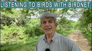 Listening to Bird Songs with BirdNet and Identifying Birds with the App